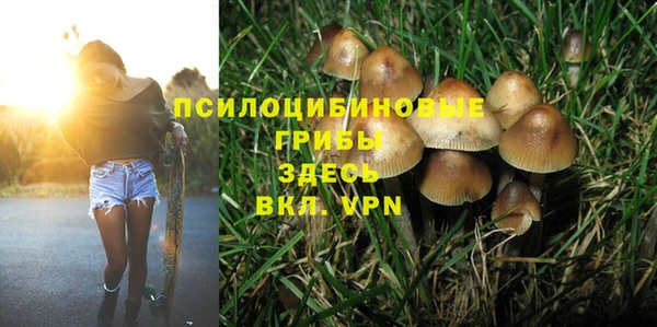 амф Володарск